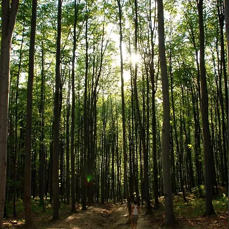 Katica Апартаменты *