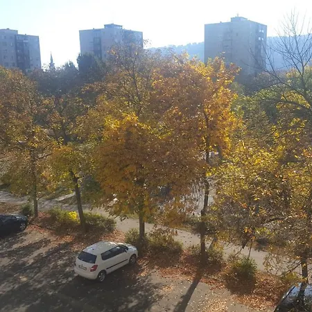 Apartment Katica